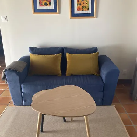 Les Terres Aoyama Guest house Saint Julien Les Rosiers