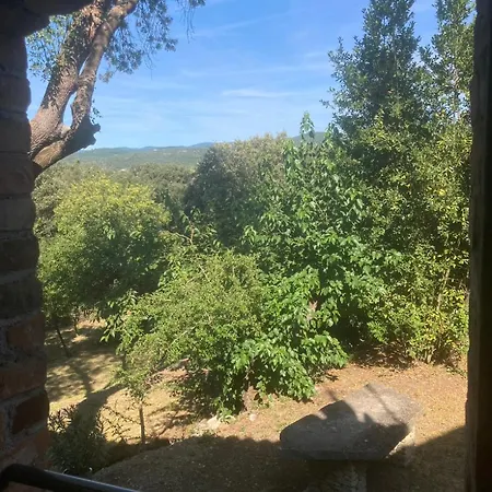 Au Pied Des Cévennes - Domaine Les Terres Aoyama Maison d'hôtes