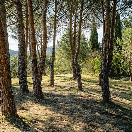 Maison d'hôtes Au Pied Des Cévennes - Domaine Les Terres Aoyama