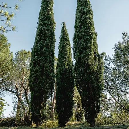 Au Pied Des Cévennes - Domaine Les Terres Aoyama Saint Julien Les Rosiers