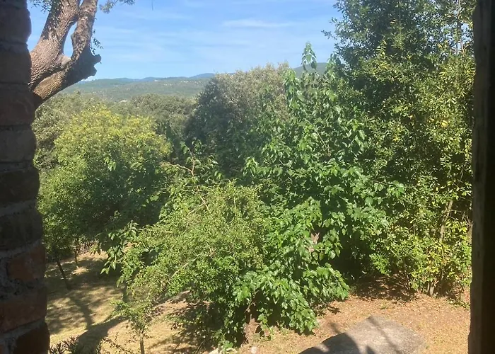 Au Pied Des Cévennes - Domaine Les Terres Aoyama Maison d'hôtes