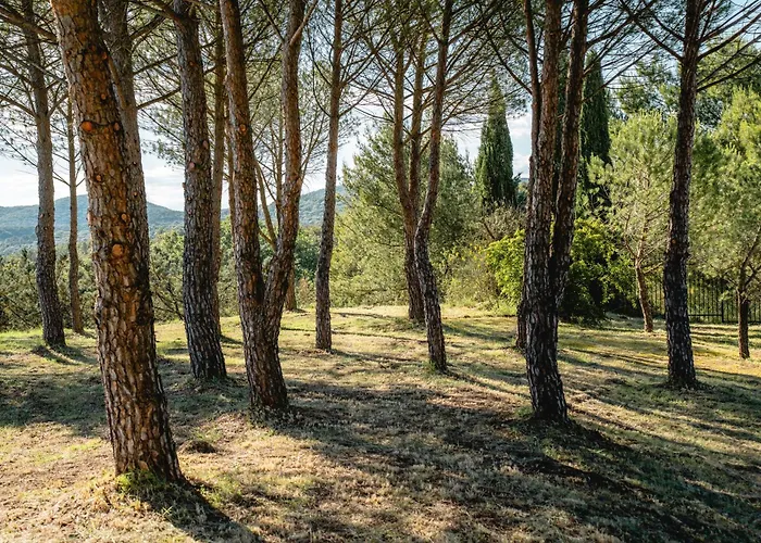 Maison d'hôtes Au Pied Des Cévennes - Domaine Les Terres Aoyama