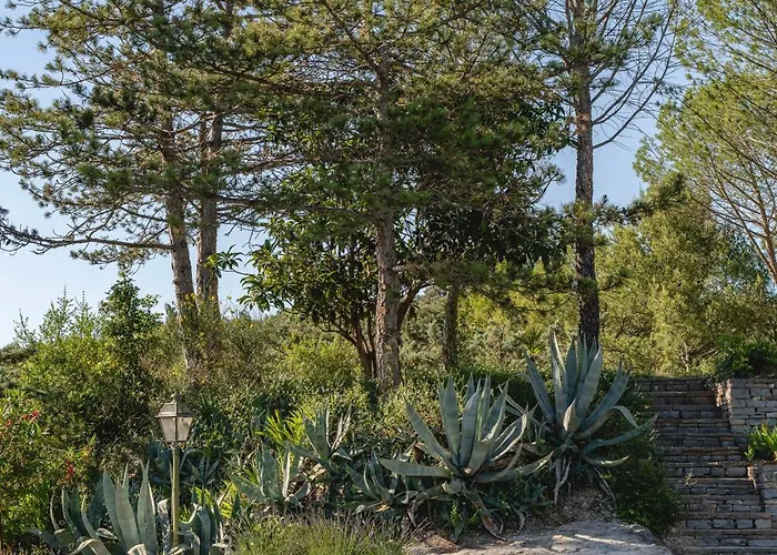 Au Pied Des Cévennes - Domaine Les Terres Aoyama 4* Saint Julien Les Rosiers