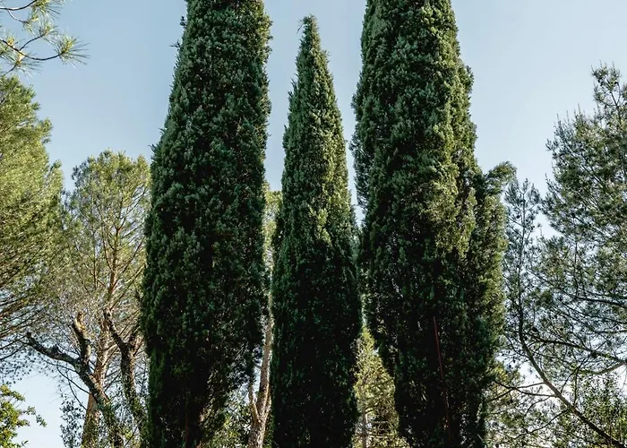 Au Pied Des Cévennes - Domaine Les Terres Aoyama Saint Julien Les Rosiers